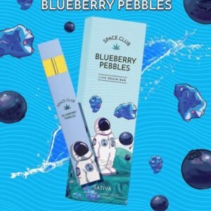 Blueberry Pebbles Space Club