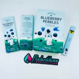 Blueberry Pebbles 10 Pack